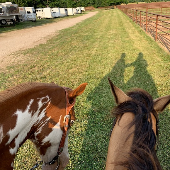 Meet your Posher, Kelly - Picture 2 of 2